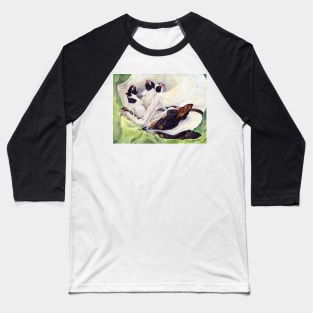 Daisy and her puppies - First day of life Baseball T-Shirt